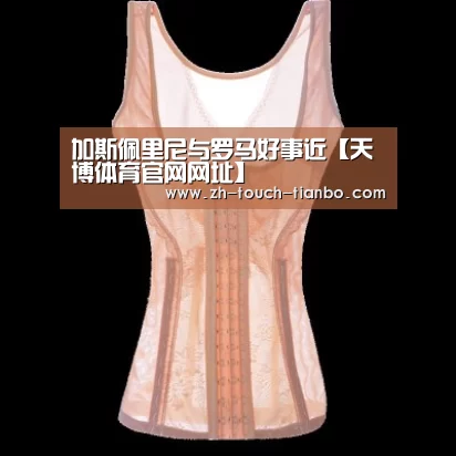 天博体育手机版