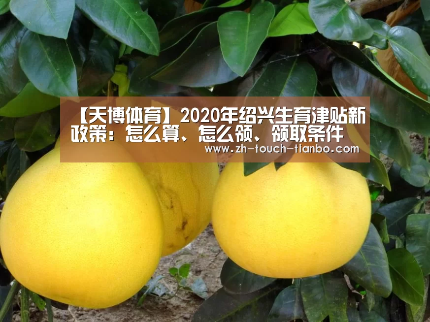 【天博体育】2020年绍兴生育津贴新政策:怎么算、怎么领、领取条件(图1) 天博体育手机版