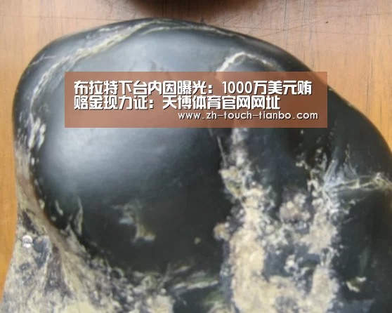 布拉特下台内因曝光:1000万美元贿赂金现力证:天博体育官网网址(图2) 天博体育官网网址