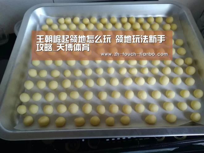 王朝崛起领地怎么玩 领地玩法新手攻略_天博体育(图3) 天博体育官网网址