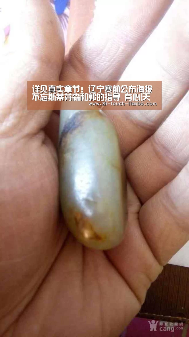 详见真实章节!辽宁赛前公布海报 不忘斯蒂芬森和郭的指导 有心|天博体育官网网址(图3) 天博体育官网网址